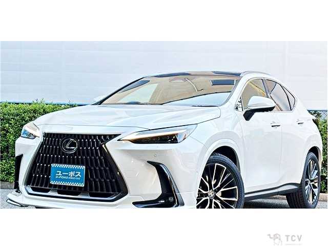 2024 Lexus NX