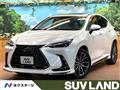 2024 Lexus NX