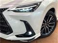 2024 Lexus NX