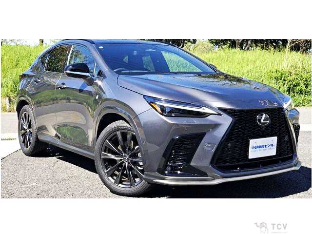 2024 Lexus NX