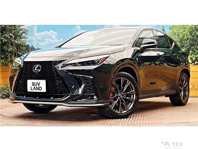 2024 Lexus NX