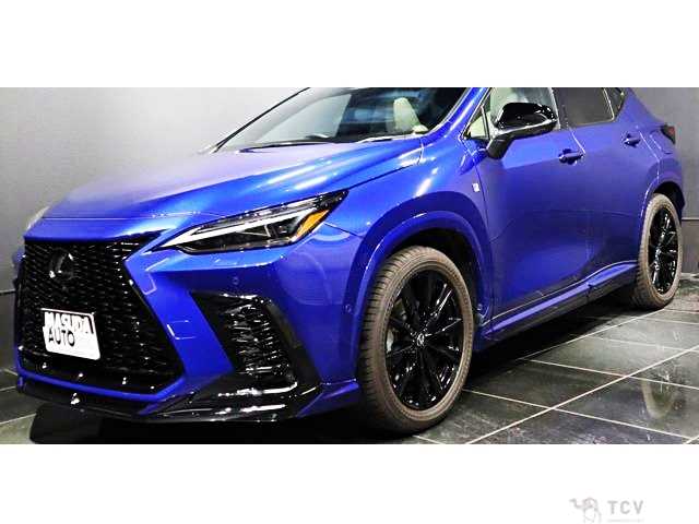 2024 Lexus NX