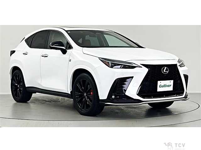 2024 Lexus NX