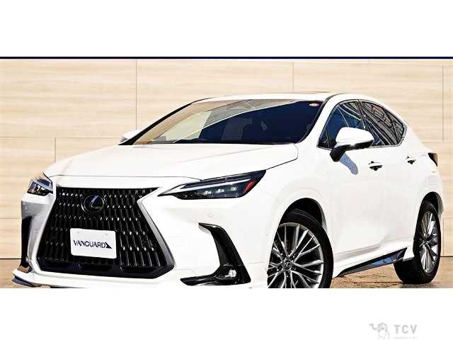 2024 Lexus NX