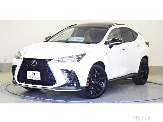 2024 Lexus NX