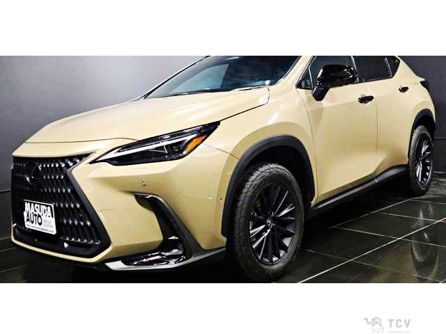 2024 Lexus NX