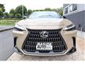 2024 Lexus NX