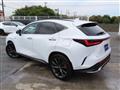 2024 Lexus NX