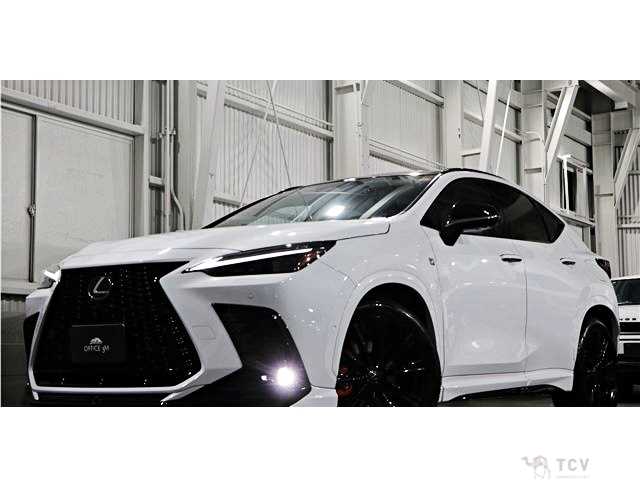 2024 Lexus NX