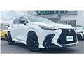 2024 Lexus NX