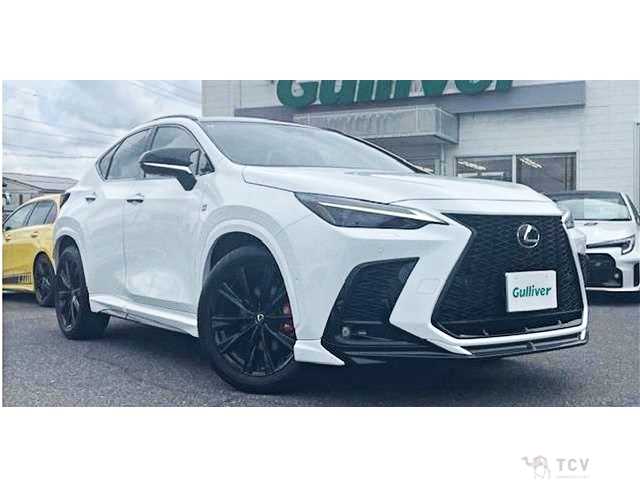 2024 Lexus NX