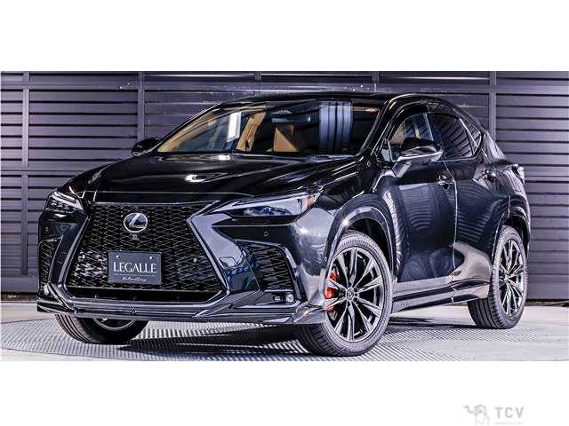 2024 Lexus NX