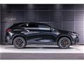 2024 Lexus NX