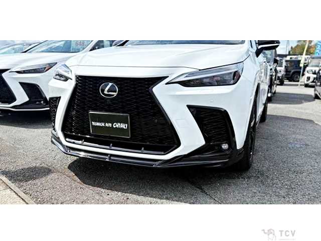 2024 Lexus NX