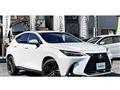 2023 Lexus NX