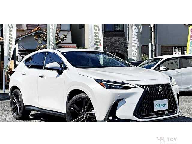 2023 Lexus NX