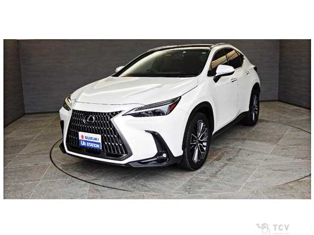 2023 Lexus NX