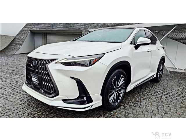 2023 Lexus NX