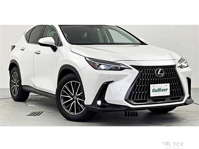 2023 Lexus NX