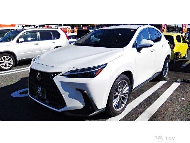 2023 Lexus NX