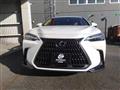 2023 Lexus NX