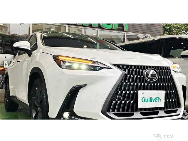 2023 Lexus NX