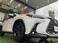 2023 Lexus NX