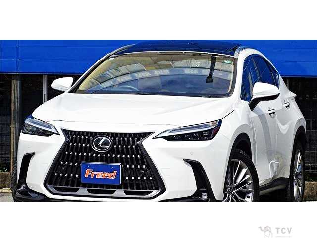 2023 Lexus NX