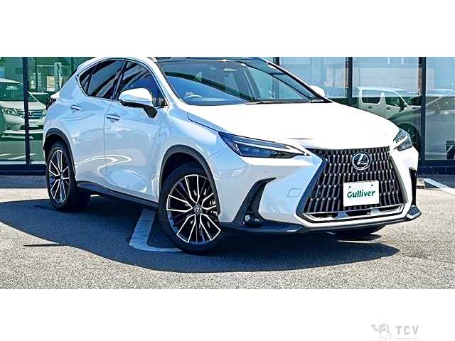 2023 Lexus NX