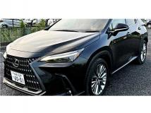 2023 Lexus NX