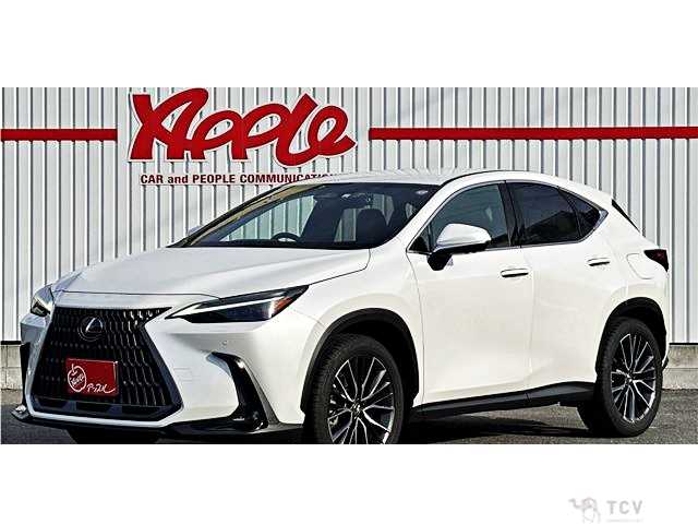 2023 Lexus NX