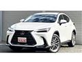 2023 Lexus NX