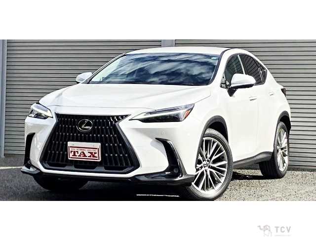 2023 Lexus NX