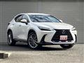 2023 Lexus NX