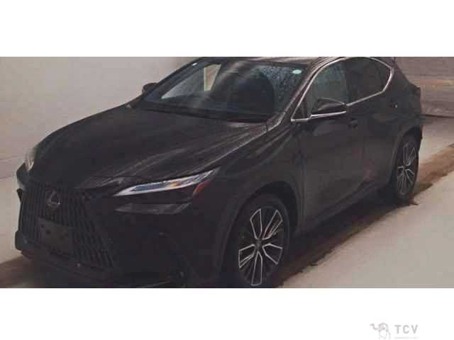 2023 Lexus NX