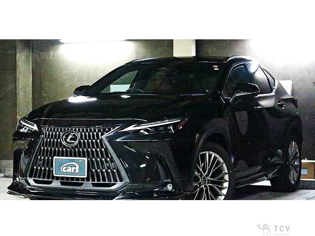 2023 Lexus NX