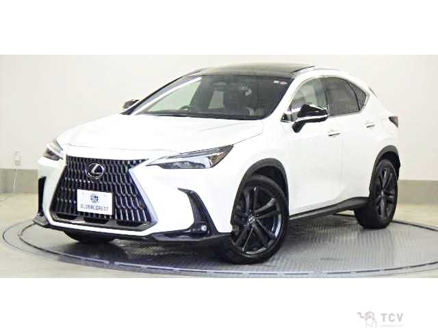 2023 Lexus NX