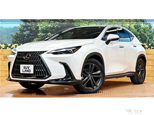 2023 Lexus NX