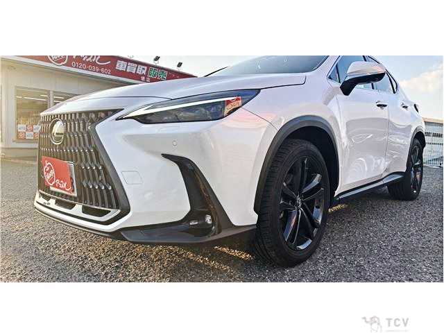 2023 Lexus NX