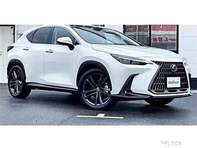 2023 Lexus NX