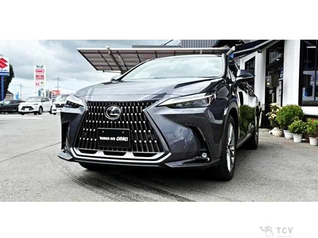 2023 Lexus NX