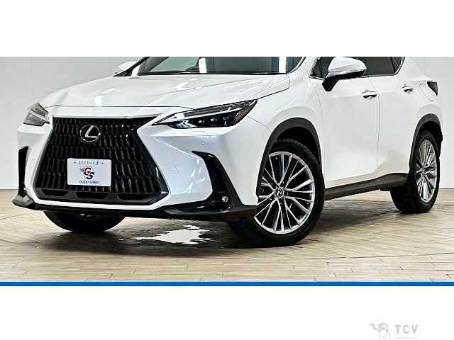 2023 Lexus NX