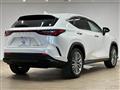 2023 Lexus NX