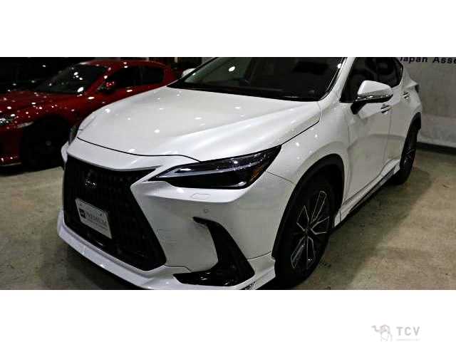 2023 Lexus NX