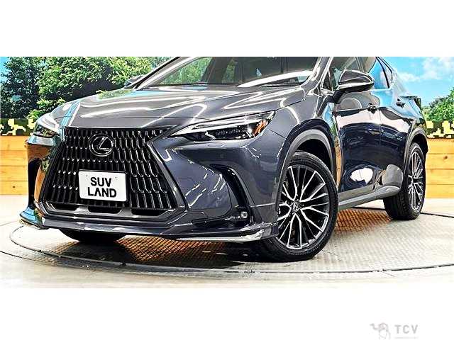 2023 Lexus NX