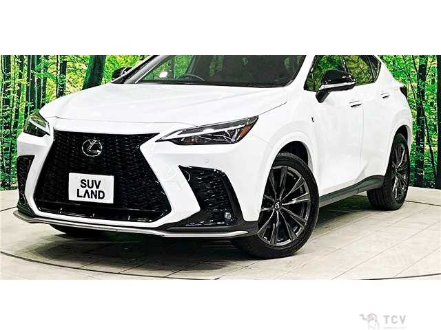 2023 Lexus NX