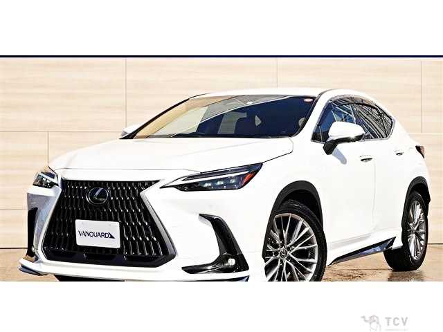 2023 Lexus NX