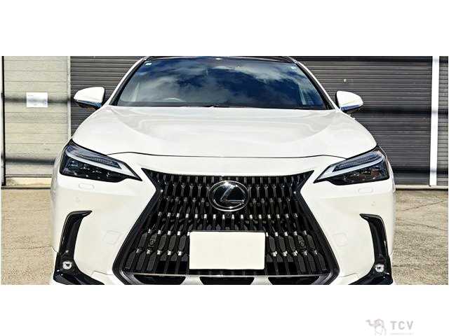 2023 Lexus NX