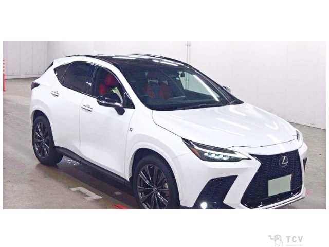 2023 Lexus NX