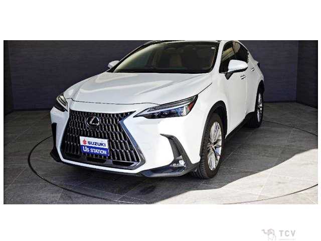 2023 Lexus NX